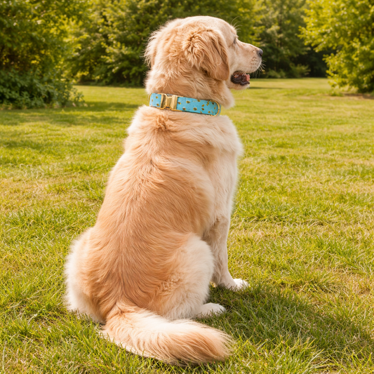 Buzzing Bee Pattern Dog Collar for Stylish Walks