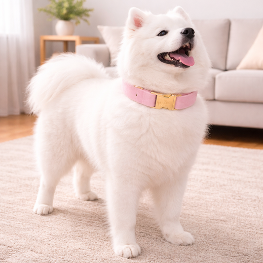 Chic Adjustable Dog Collar in Soft Blossom Pink