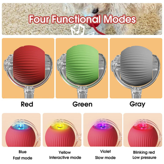 Rolling Pet Toy Ball