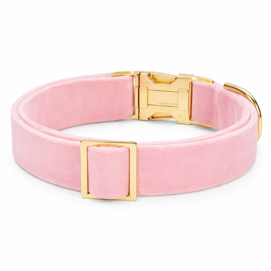 Chic Adjustable Dog Collar in Soft Blossom Pink