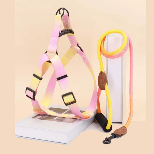 Pastel Summer Dog Harness & Leash Set