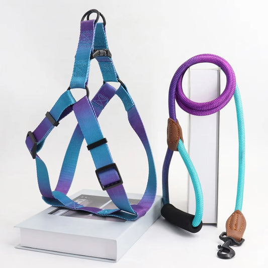 Pastel Summer Dog Harness & Leash Set