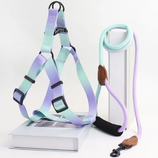 Pastel Summer Dog Harness & Leash Set
