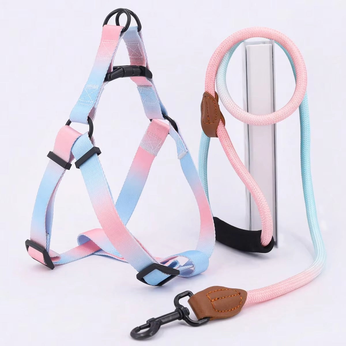 Pastel Summer Dog Harness & Leash Set