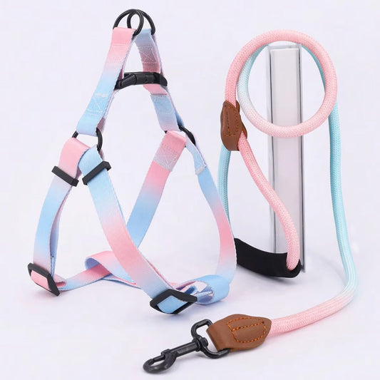 Pastel Summer Dog Harness & Leash Set