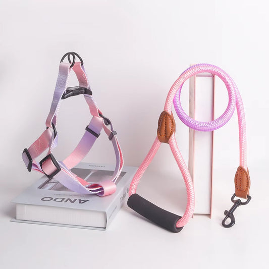 Pastel Summer Dog Harness & Leash Set