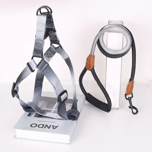 Pastel Summer Dog Harness & Leash Set