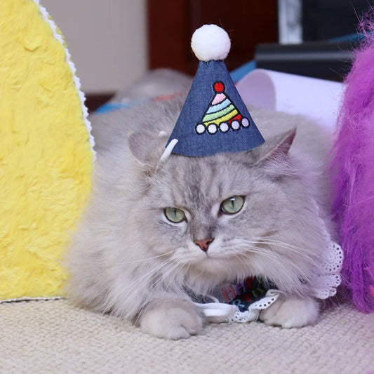 Birthday Party Outfit for Cats & Small Dogs