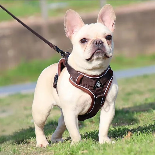 No-Pull Dog Harness & Leash Set
