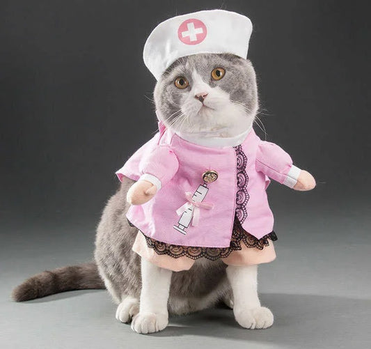 Funny Cat Costume