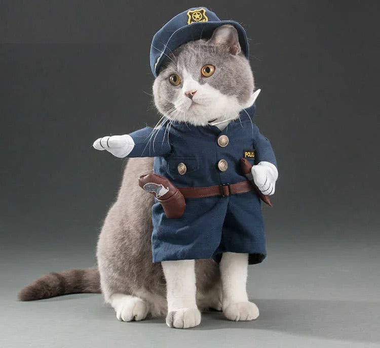 Funny Cat Costume