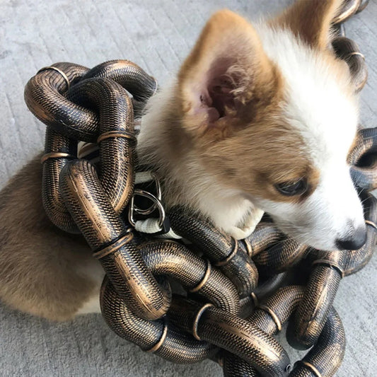 Chunky Chain Leash for Dogs