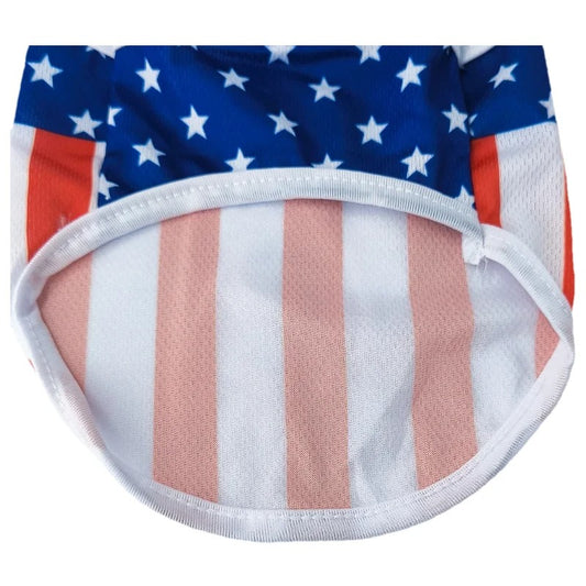 4th of July USA Outfit for Small Dogs