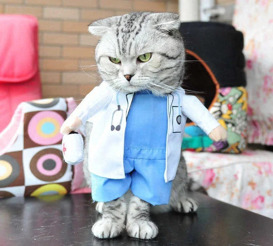 Funny Cat Costume