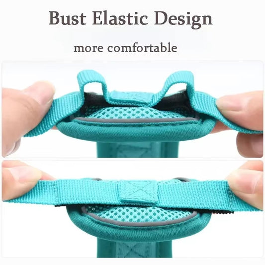 No-Pull Dog Harness & Leash Set