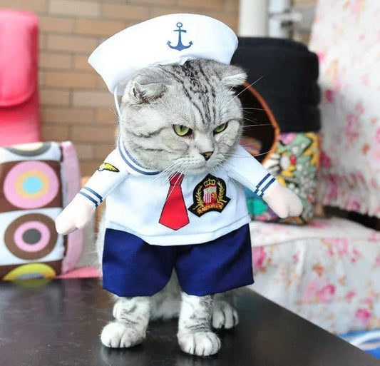 Funny Cat Costume