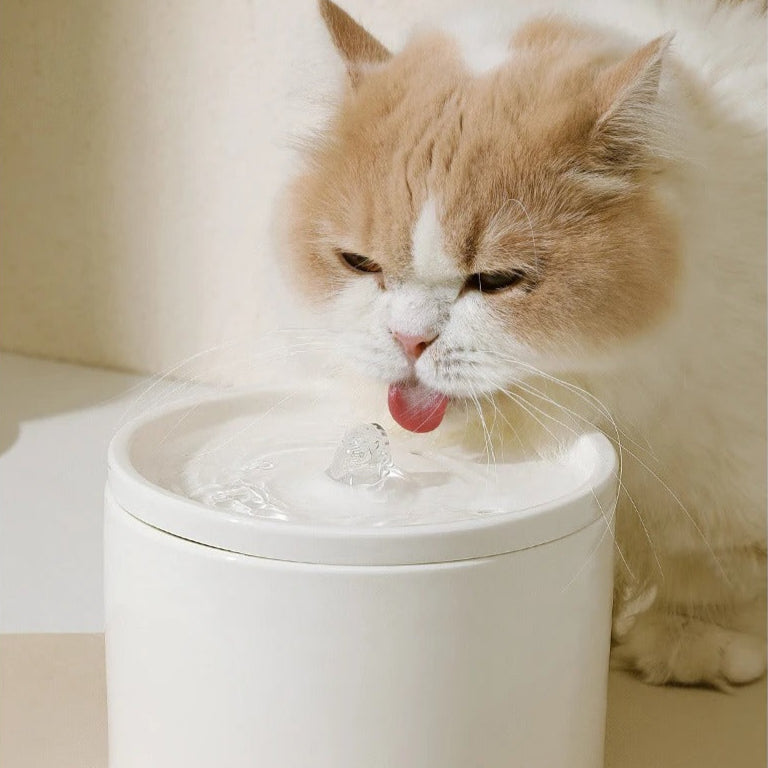 Ceramic Cat Water Fountain – with 4 Reusable Filters