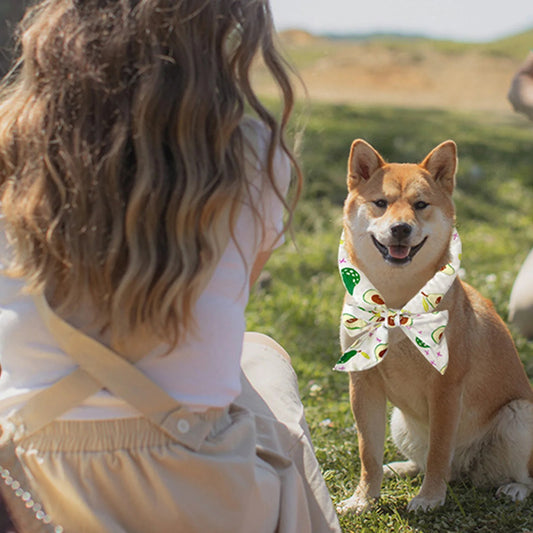 Dog Cooling Scarf | BUY 1 GET 1 FREE (2PCS)
