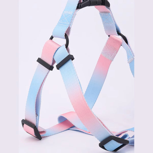 Pastel Summer Dog Harness & Leash Set