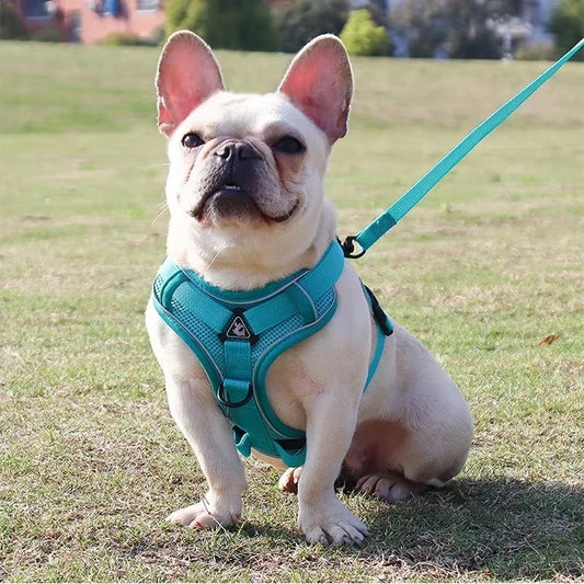 No-Pull Dog Harness & Leash Set