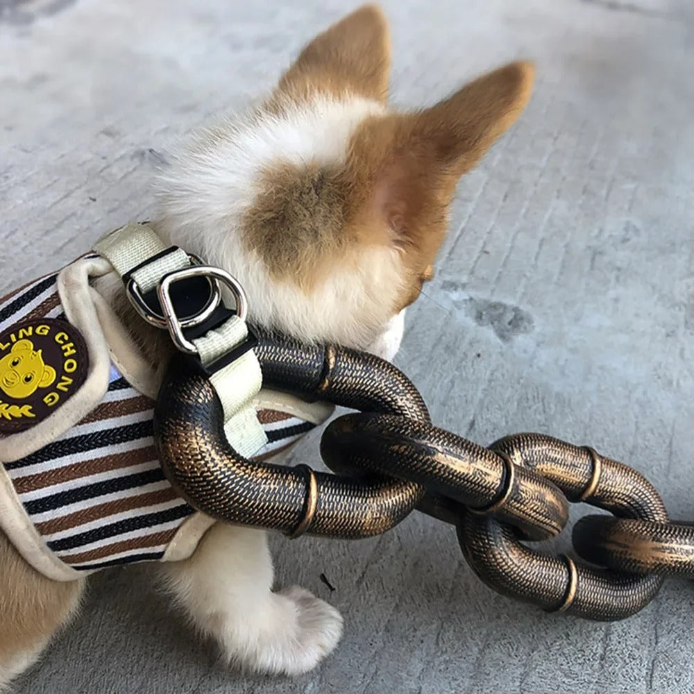 Chunky Chain Leash for Dogs