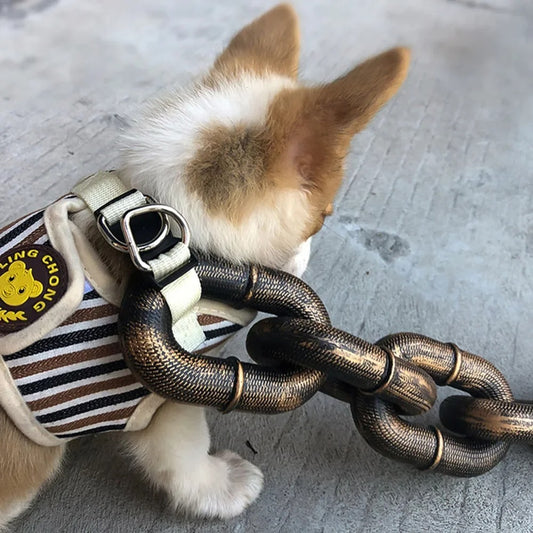 Chunky Chain Leash for Dogs
