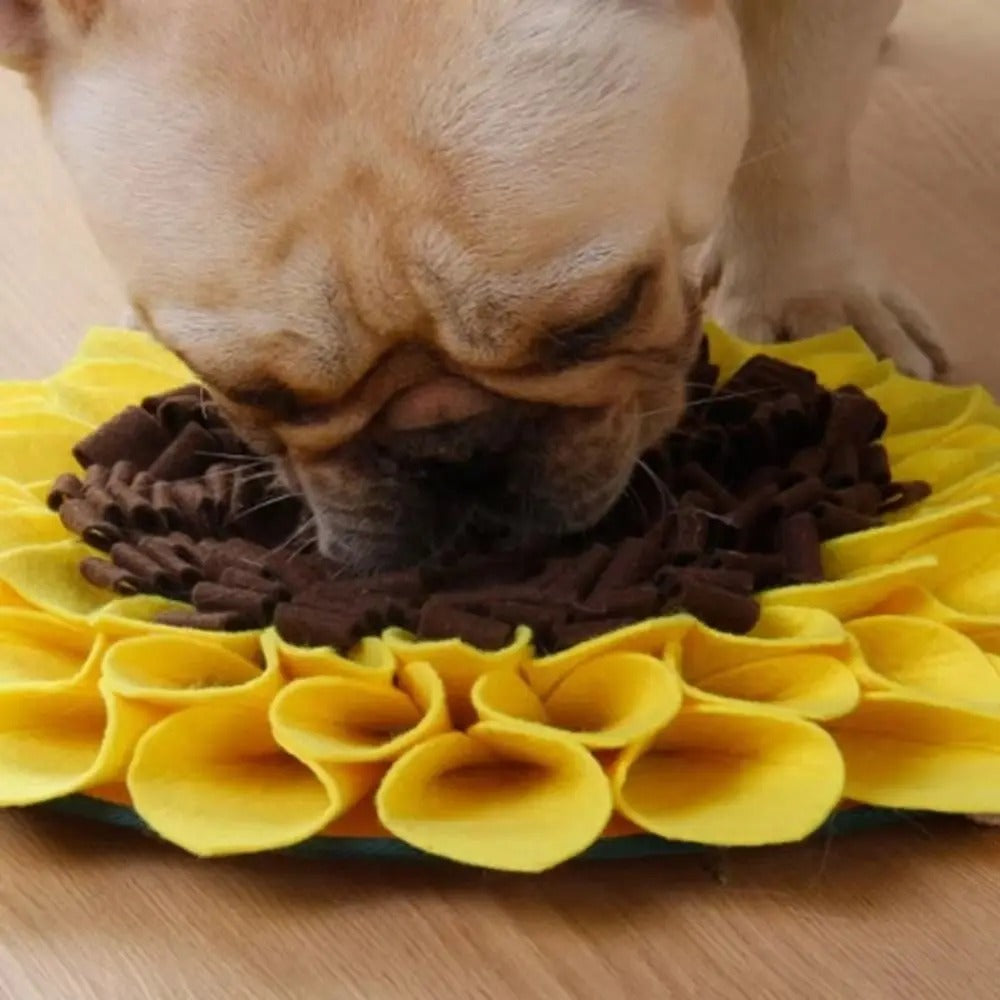 Sunflower Snuffle Mat for Dogs