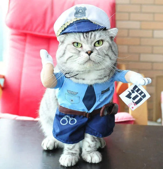 Funny Cat Costume