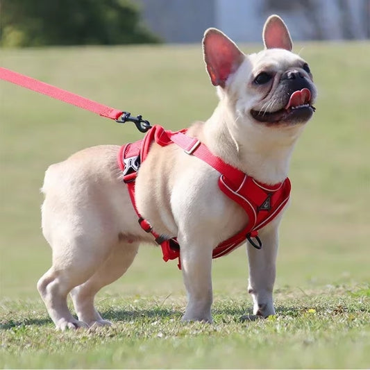 No-Pull Dog Harness & Leash Set