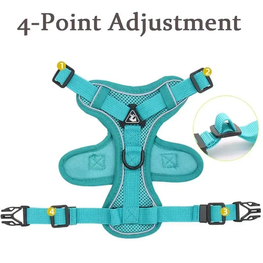 No-Pull Dog Harness & Leash Set