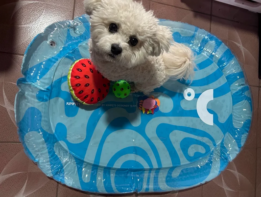 Water-Filled Summer Chill Mat for Dogs & Cats