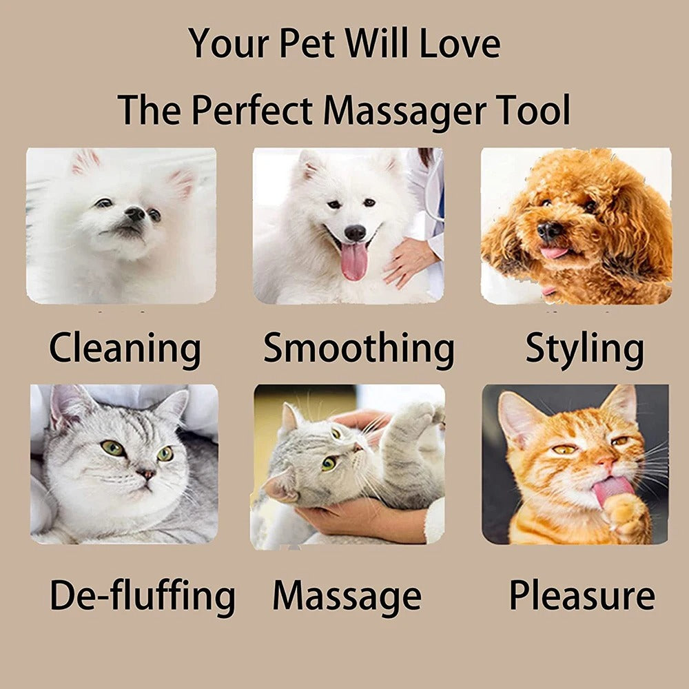 Corner Cat Scratch & Groom Brush | BUY 1 GET 1 FREE (2PCS)