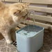 Gentle Water Fountain for Cats
