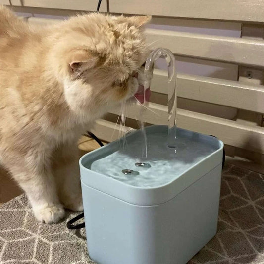 Gentle Water Fountain for Cats