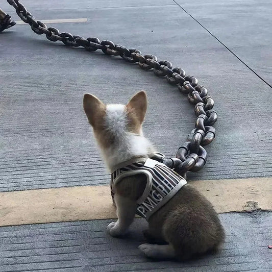 Chunky Chain Leash for Dogs
