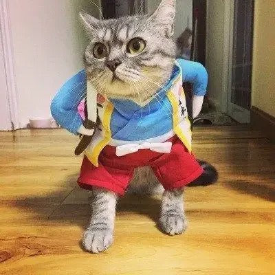 Funny Cat Costume