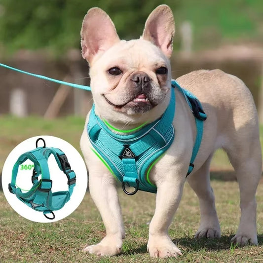 No-Pull Dog Harness & Leash Set