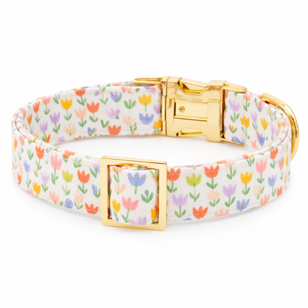 Charming Floral Dog Collar for Stylish Walks