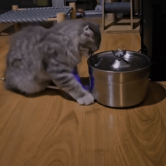 WhiskerWave Cat Water Fountain - Quiet and Clean Hydration