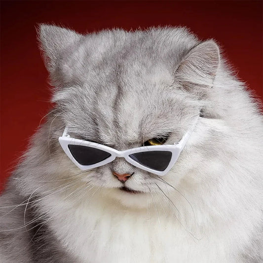 Sphynx Sunglasses for Pets