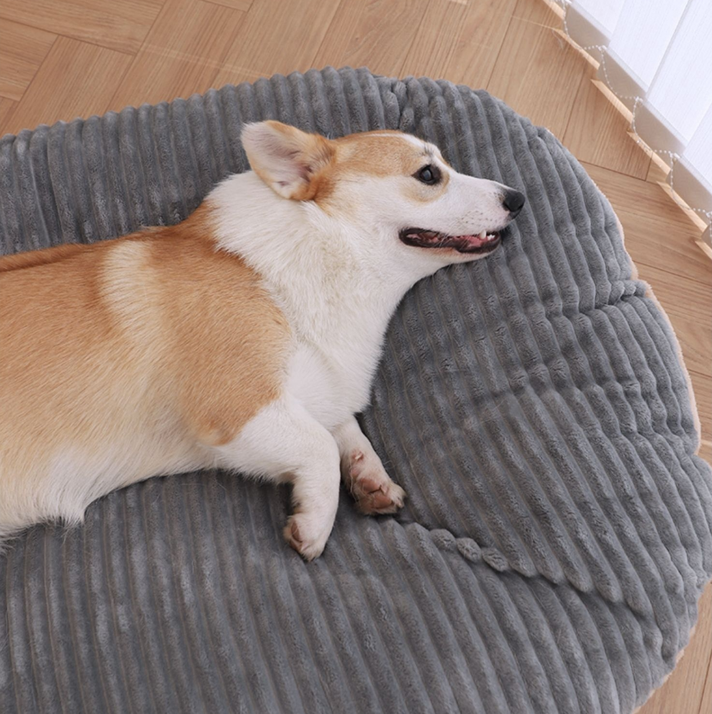 Anti-Stress Calming Dog Cushion