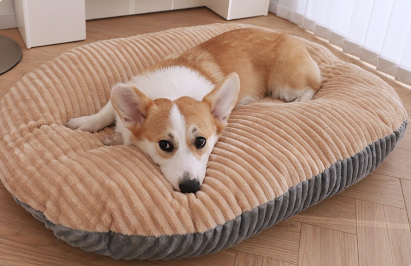 Anti-Stress Calming Dog Cushion