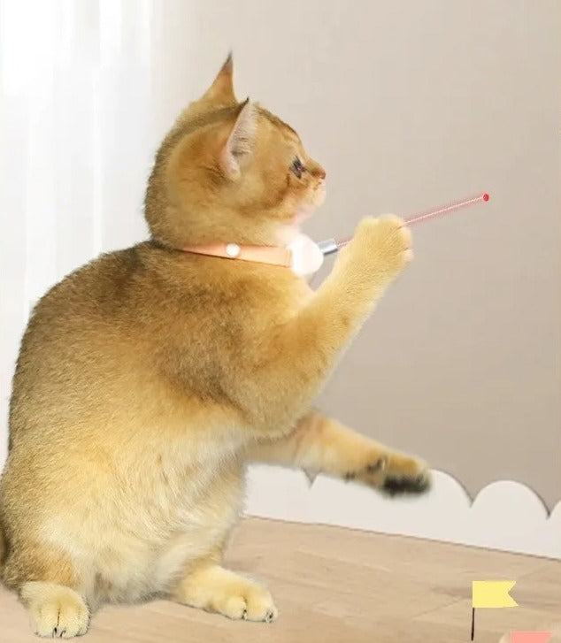 Cat Collar Laser Toy