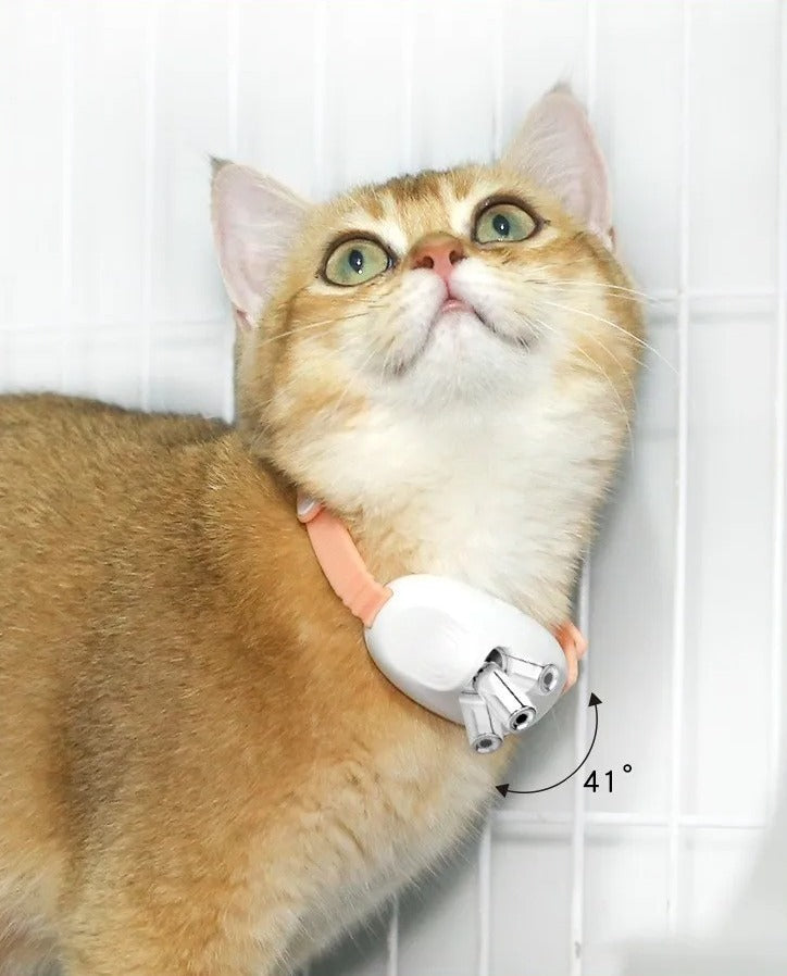 Cat Collar Laser Toy