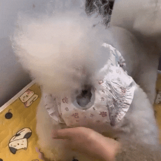 ComfortFit Dog Diapers: Leakproof Protection for Your Pup