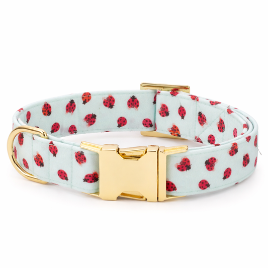 Charming Heart Pattern Dog Collar for Stylish Walks