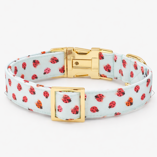 Charming Heart Pattern Dog Collar for Stylish Walks