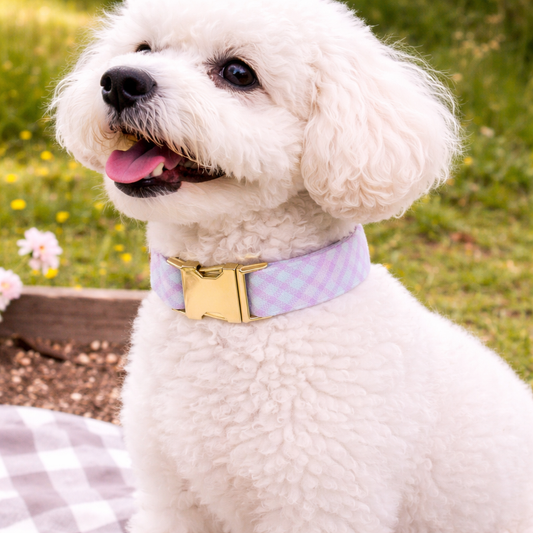 Charming Pastel Plaid Dog Collar