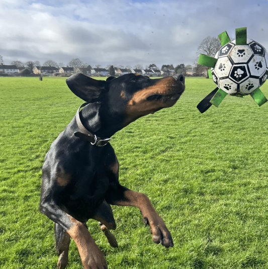 Interactive Dog Soccer Ball Toy