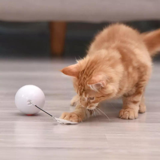 Interactive Rolling Ball Toy for Cats with Feather Accents
